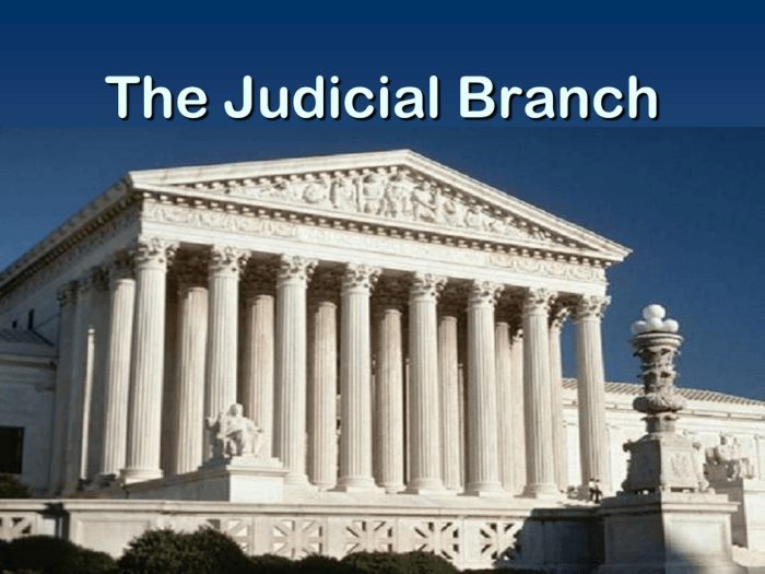 Judicial branch in flash answer key