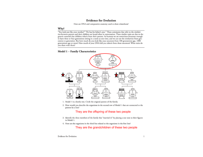 Evidence for evolution pogil answer key