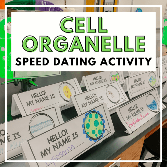 Speed dating for lonely organelles