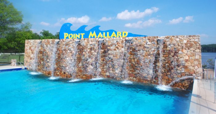 Point mallard water park death