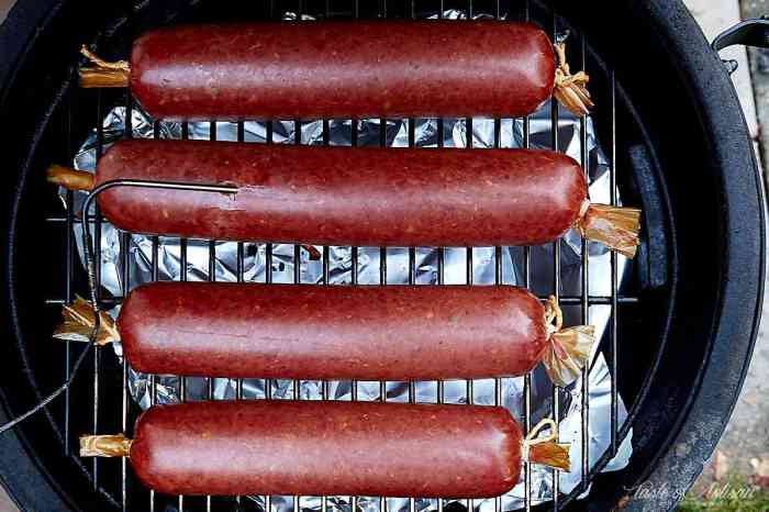 Physical properties of summer sausage