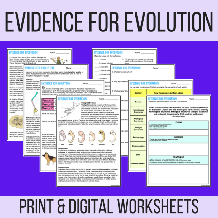 Evidence for evolution pogil answer key