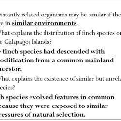 Evidence for evolution pogil answer key