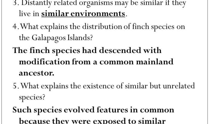 Evidence for evolution pogil answer key