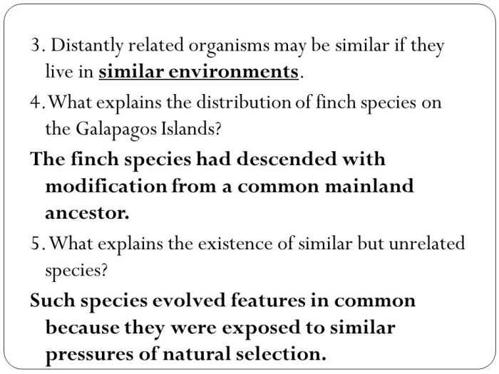 Evidence for evolution pogil answer key