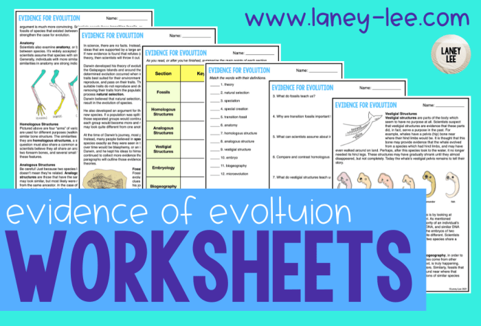 Evidence for evolution pogil answer key