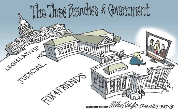 Separation of powers political cartoon