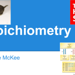 In stoichiometry chemists are mainly concerned with