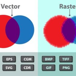 A process called converts vector graphics into bitmap images