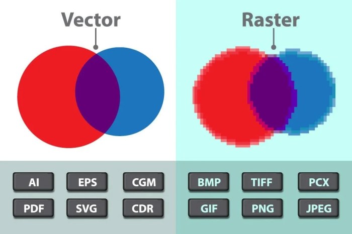 A process called converts vector graphics into bitmap images